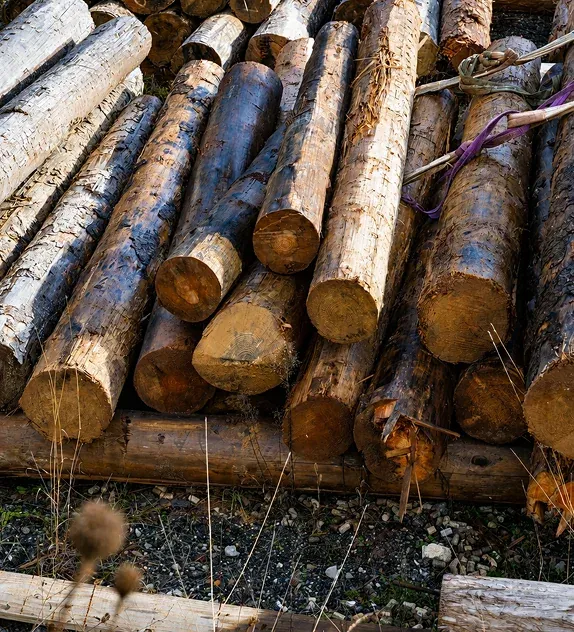 Grumes et planches de bois de réemploi empilées au sol